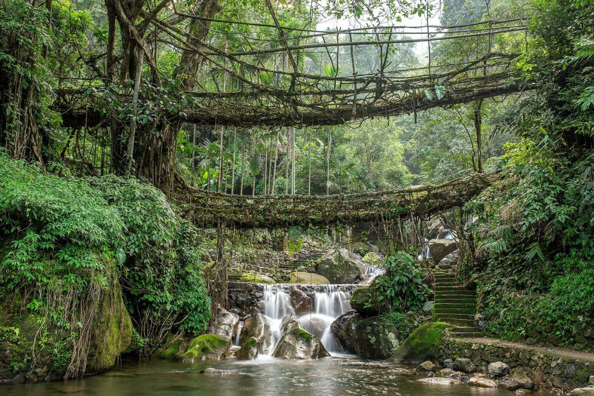 MEGHALAYA