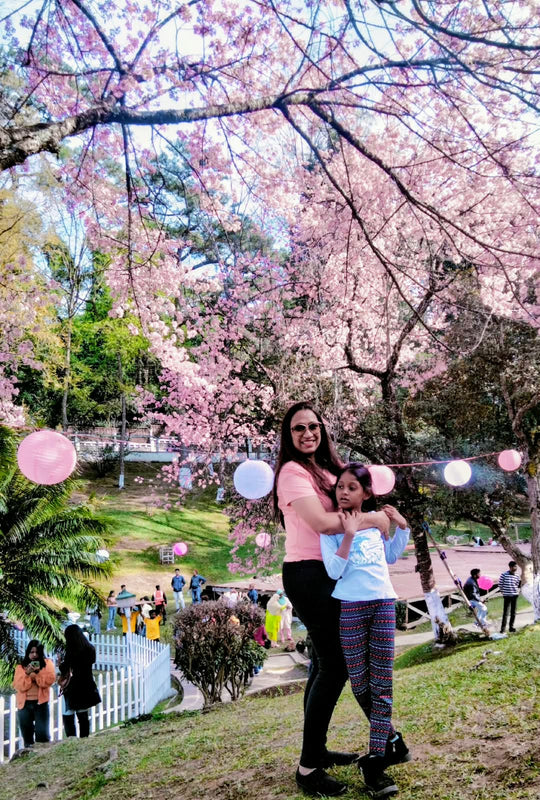 SHILLONG CHERRY BLOSSOM — THE CHERRY BLOSSOM ESCAPE