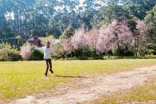 SHILLONG CHERRY BLOSSOM — THE CHERRY BLOSSOM ESCAPE